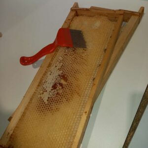 IMG-20260419-WA0008
